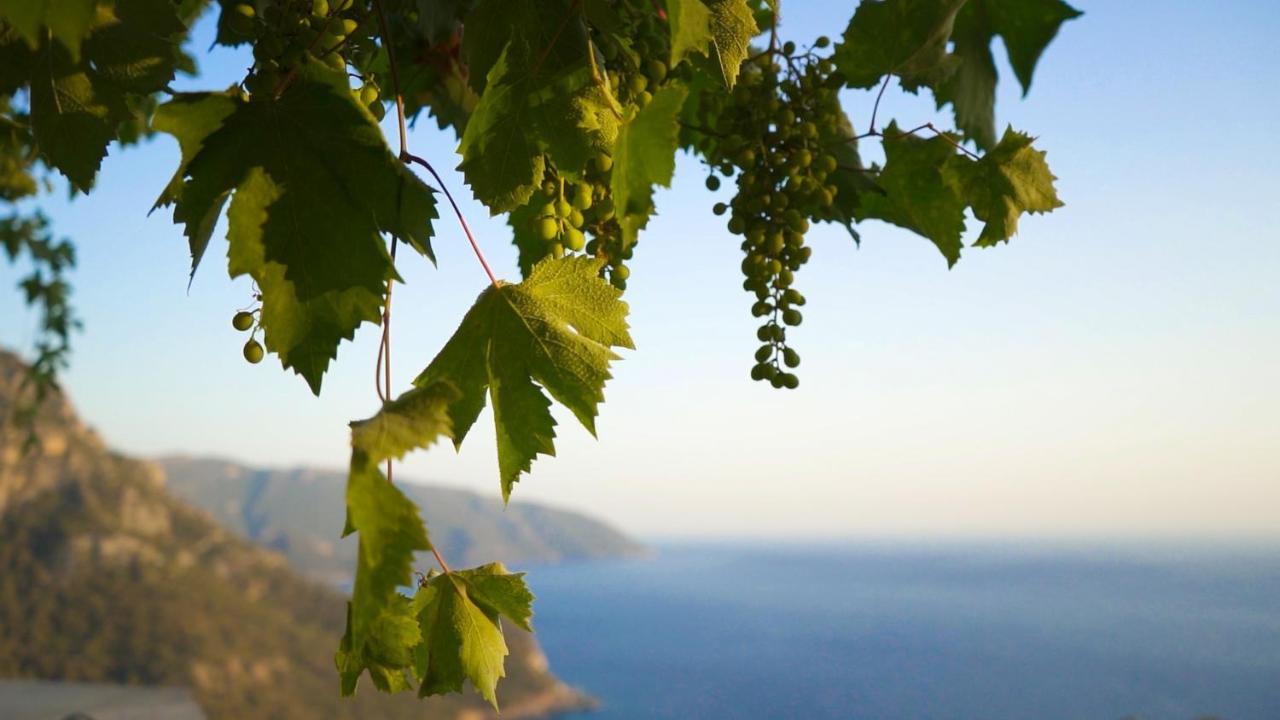 Kabak Mamma'S Pension Restaurant & Terrace Bar Fethiye Esterno foto